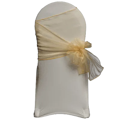 BOUCLE DE CHAISE ORGANZA – CHAMPAGNE