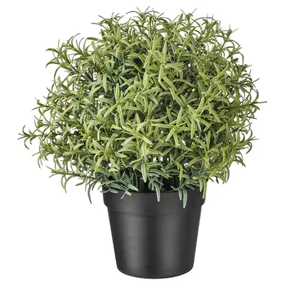 SPIRALE EN POT VERDURE