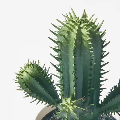 CACTUS DÉCORATIF EN POT