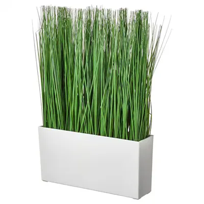 CIBOULETTE EN POT POT BLANC RECTANGULAIRE