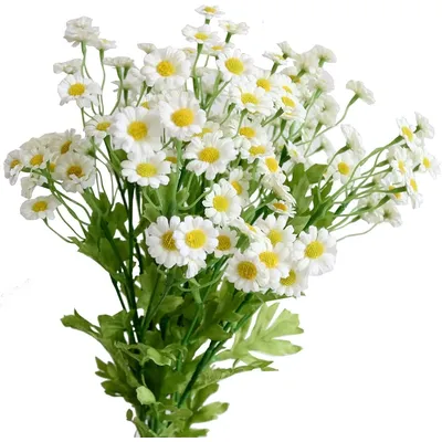 MARGUERITE BOUQUET 24’’